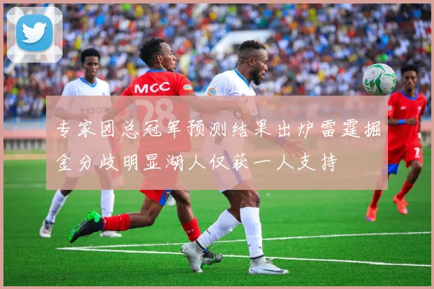 专家团总冠军预测结果出炉雷霆掘金分歧明显湖人仅获一人支持