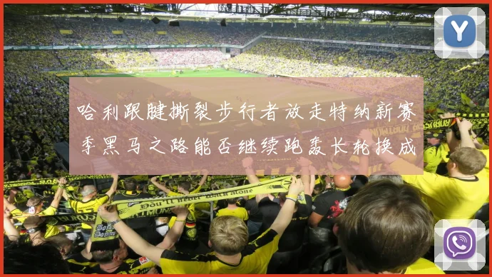 哈利跟腱撕裂步行者放走特纳新赛季黑马之路能否继续跑轰长轮换成关键