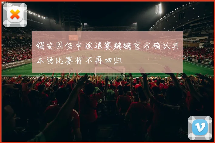 锡安因伤中途退赛鹈鹕官方确认其本场比赛将不再回归