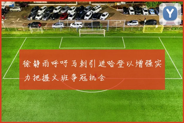 徐静雨呼吁马刺引进哈登以增强实力把握文班争冠机会