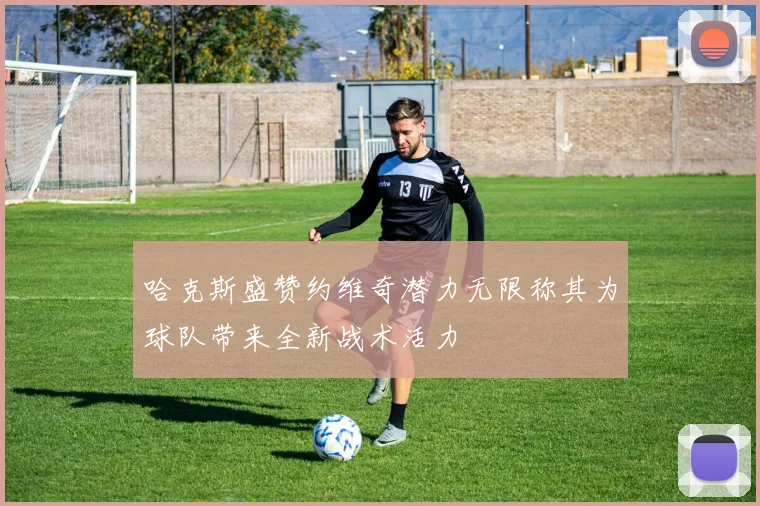 哈克斯盛赞约维奇潜力无限称其为球队带来全新战术活力